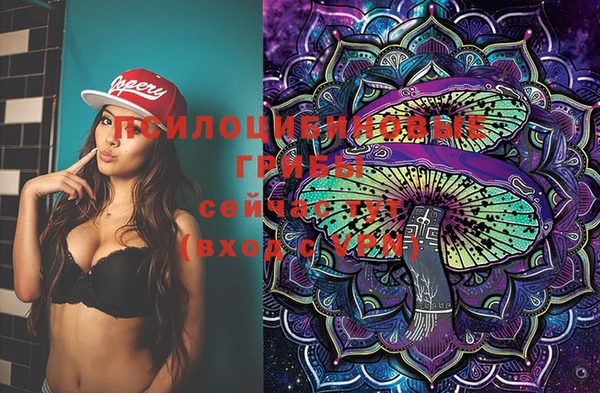 МДПВ Абаза