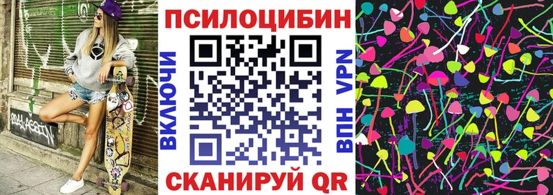 где найти   Жердевка  Галлюциногенные грибы GOLDEN TEACHER 